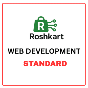 Website Development - Standard